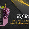 Elf Bar: What Are the Best Options After the Disposable Vape Ban? - The Vape Giant
