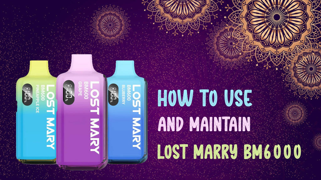 How to Use and Maintain Lost Mary BM6000