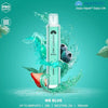 Hayati® Pro Mini 600 Puffs Disposable Vape Pack of 10 Mr Blue